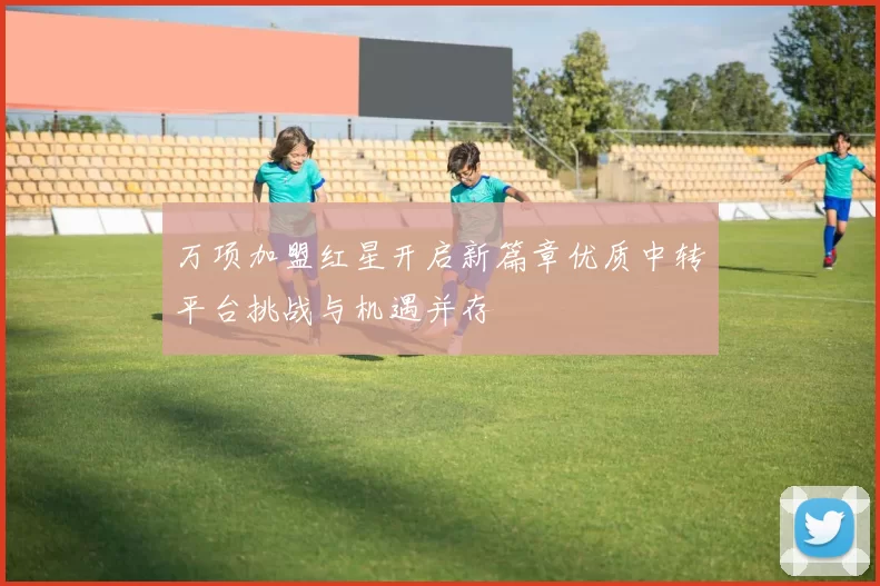 万项加盟红星开启新篇章优质中转平台挑战与机遇并存